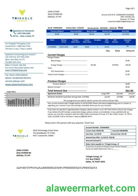 USA Texas TriEagle utility bill template in Word and PDF (.doc and .pdf) format